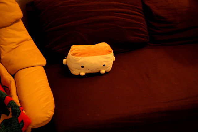 うちのソファーに収まるカステラちゃん。