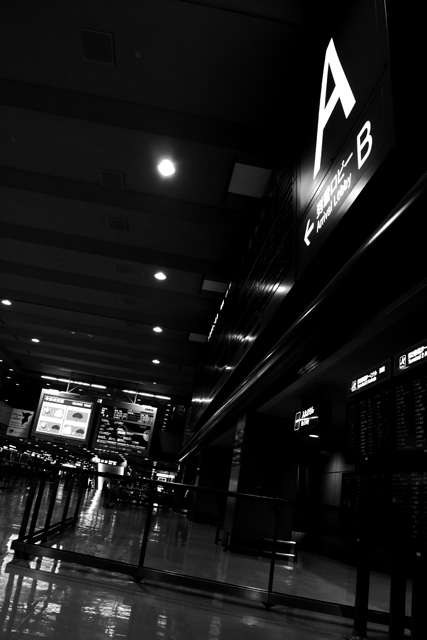 来日するアニキを迎えに成田に行った。しばらく空港に居たけれど、外国人の少なさに驚いた。