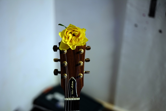 相馬の黄色いバラ。