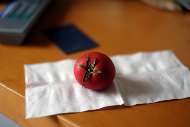 ともだちがくれた高知のトマト。この世のものとは思えん。美味い。